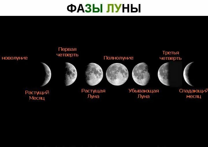 В какой фазе убывающая луна. Фазы луны по порядку. фазы луны новолуние первая четверть полнолуние последняя четверть. фазы луны новолуние растущая луна полнолуние убывающая луна. растущая луна и убывающая луна разница.