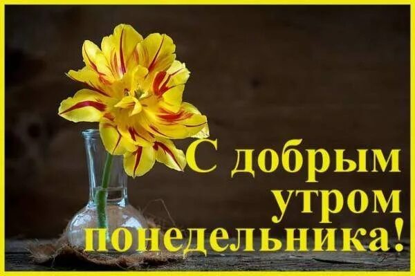 доброе утро понедельника картинки прикольные. с утром понедельника картинки с надписями. с утром понедельника картинки с надписями. добро утро понедельника. открытки с добрым утром понедельника.