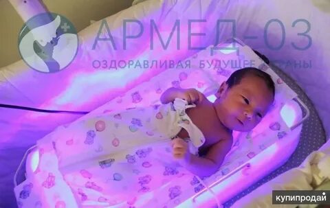 Аренда желтушка
