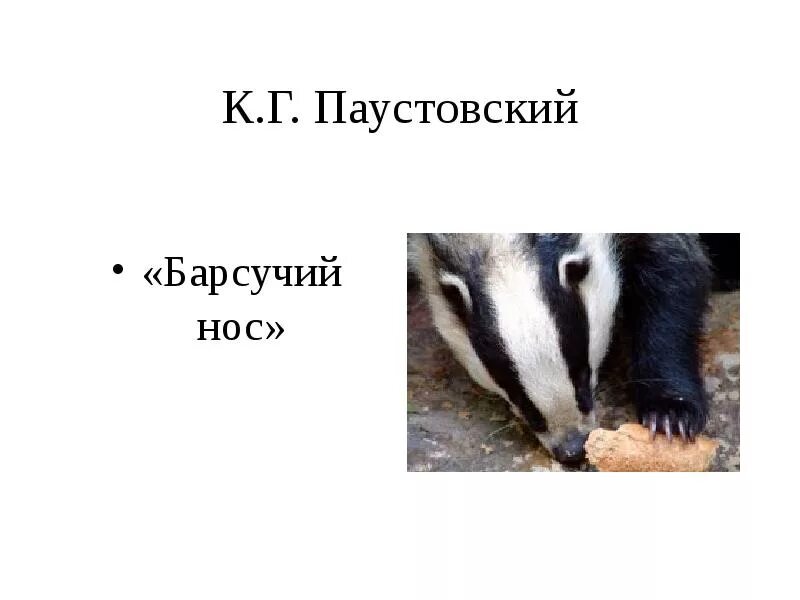 К. Паустовский "барсучий нос". Паустовский барсучий нос 3 класс. Презентация барсучий нос.