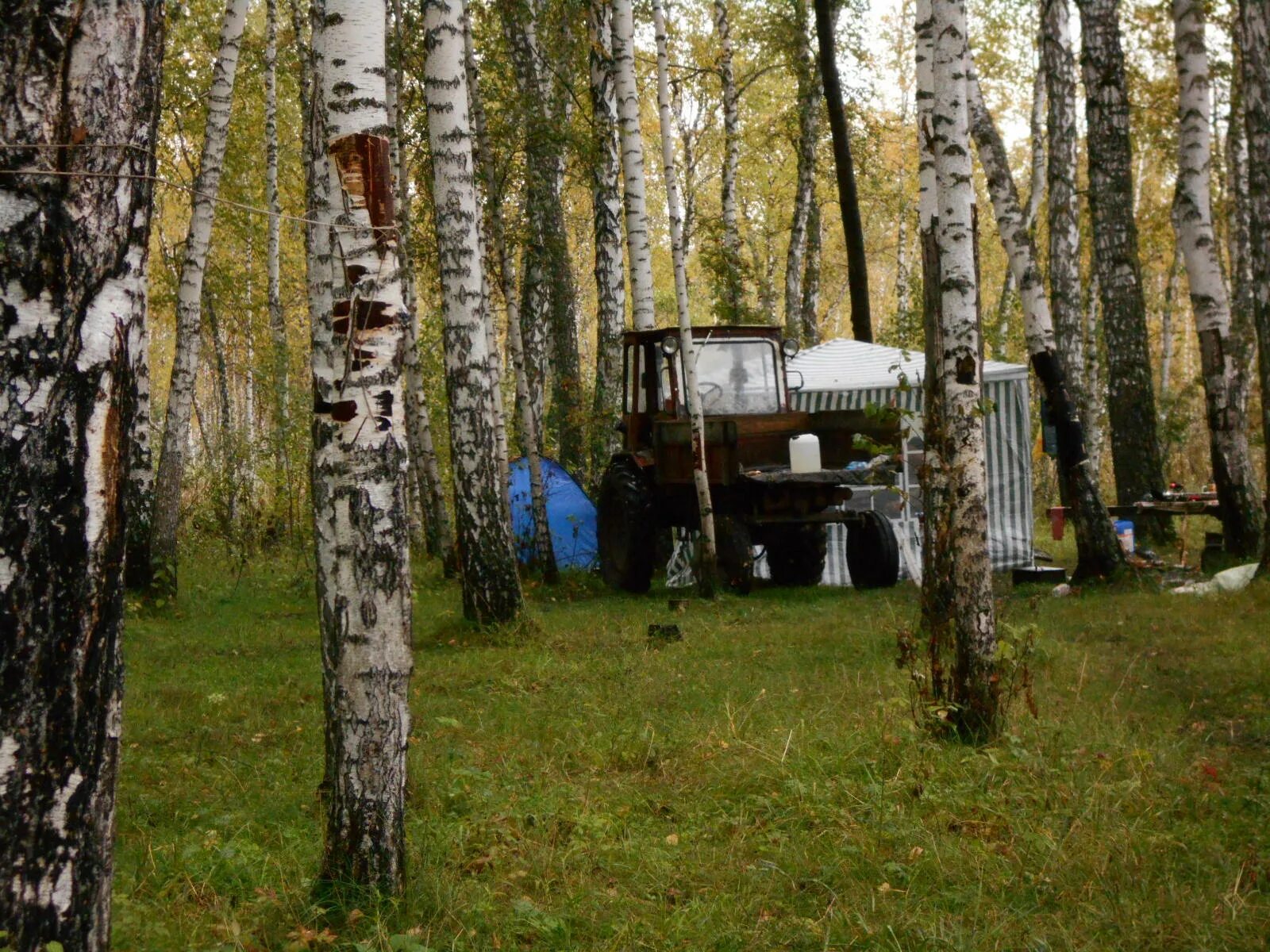 Муромцевский муниципальный район. Озеро Щучье Омская область. Муромцево Омская область. Село Артын Муромцевский район Омская область. Деревня Качесово Муромцевского района Омской области.