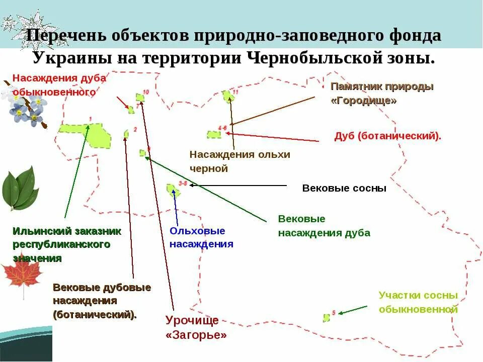 Природно заповедный фонд. Природно Заповедный фонд Украины. Природно-заповідний фонд карты. В природно-Заповедный фонд входят. Чернобыльский заповедник.