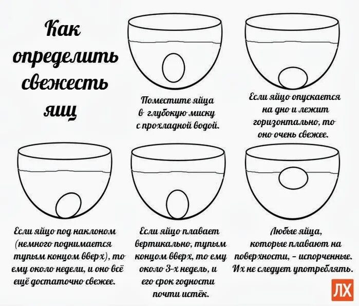 Перепелиные яйца всплыли в холодной воде. Как проверить яйца на свежесть. Как узнать свежесть яиц. Как проверить куриные яйца на свежесть. Как определить свяжусь яиц.