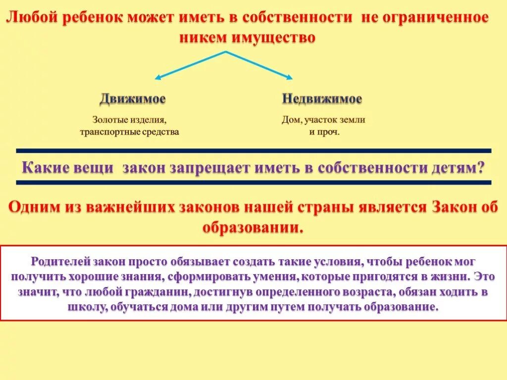 Какой закон запрещает право собственности. Дети не собственность родителей. Что можно иметь в собственности. Что человек может иметь в собственности.