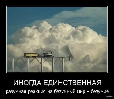 Мир чокнутых