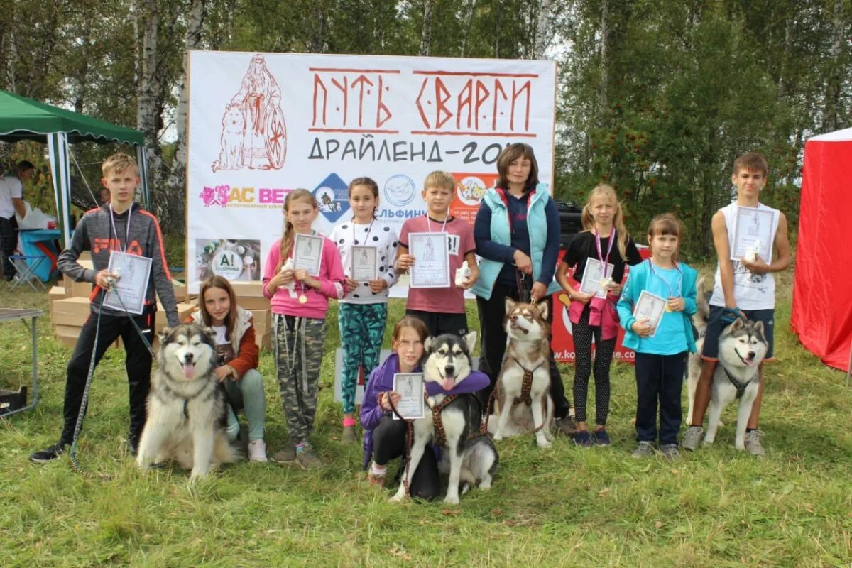 Цес звезда катуни. Фотографии центра ездового спорта звезда катуни. Катание на собаках в ступино. Звезда катуни. "алтайский центр ездового спорта".