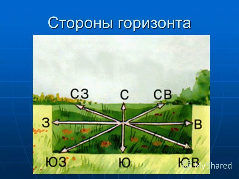 Стороны горизонта. Стороны горизонта ориентирование. Название сторон горизонта. Промежуточные стороны горизонта иллюстрация. Горизонт 5 класс читать