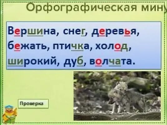 Найди слова вершина. Волчата проверочное слово. Побежали от деревьев вопрос.