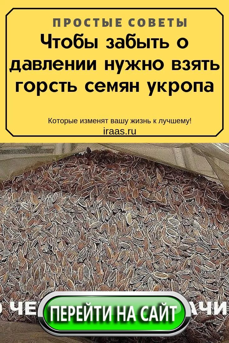 Укроп от давления рецепт. Горсть семян укропа. Укроп семена. Настой семян укропа. Укропные семена от давления.