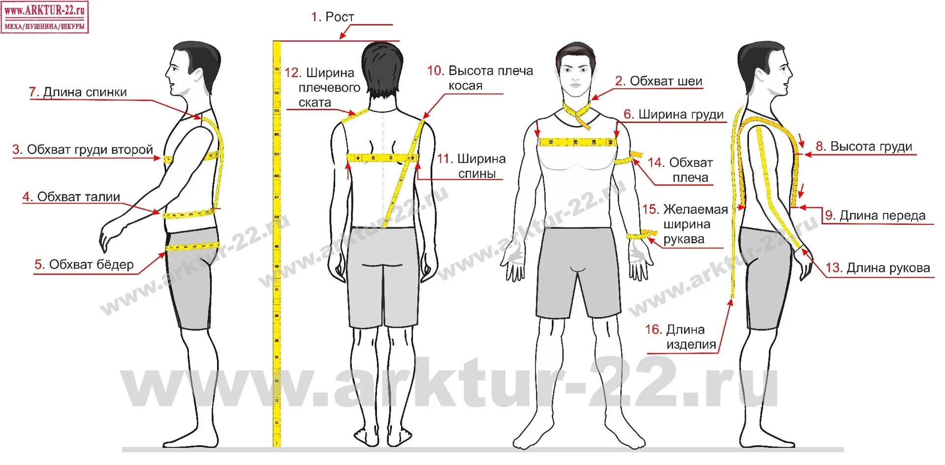 Спереди через. Снятие мерок с мужской фигуры. Мужские мерки для пошива. Замеры для пошива одежды. Замеры для мужчин.