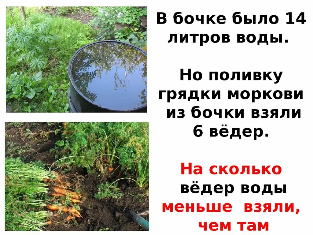 Сколько ведер воды принесли. Вода на сколько грядок. Сколько литров воды надо на поливку грядок. Сколько литров воды нужно на грядку. Сколько всего ведер взяли из бочки.