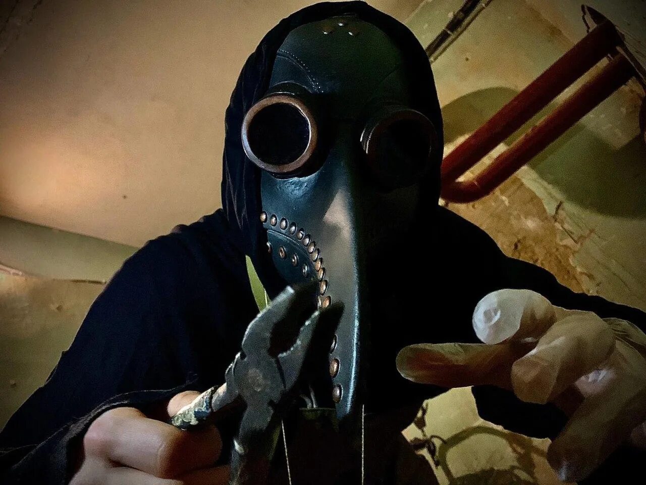 Темница фенрира новосибирск. Квест одержимый чумой ростов на дону. Квест чума. Bloodborne сон охотника. Квест одержимый чумой ростов на дону.