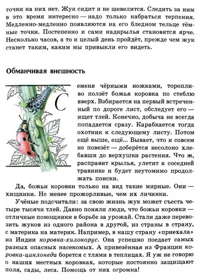 зеленые страницы рассказ о божьих коровках 3 класс. зеленая книга зеленые страницы рассказ солнышко. книга зеленые страницы рассказ солнышко. рассказ солнышко из книги зеленые. рассказ солнышко.
