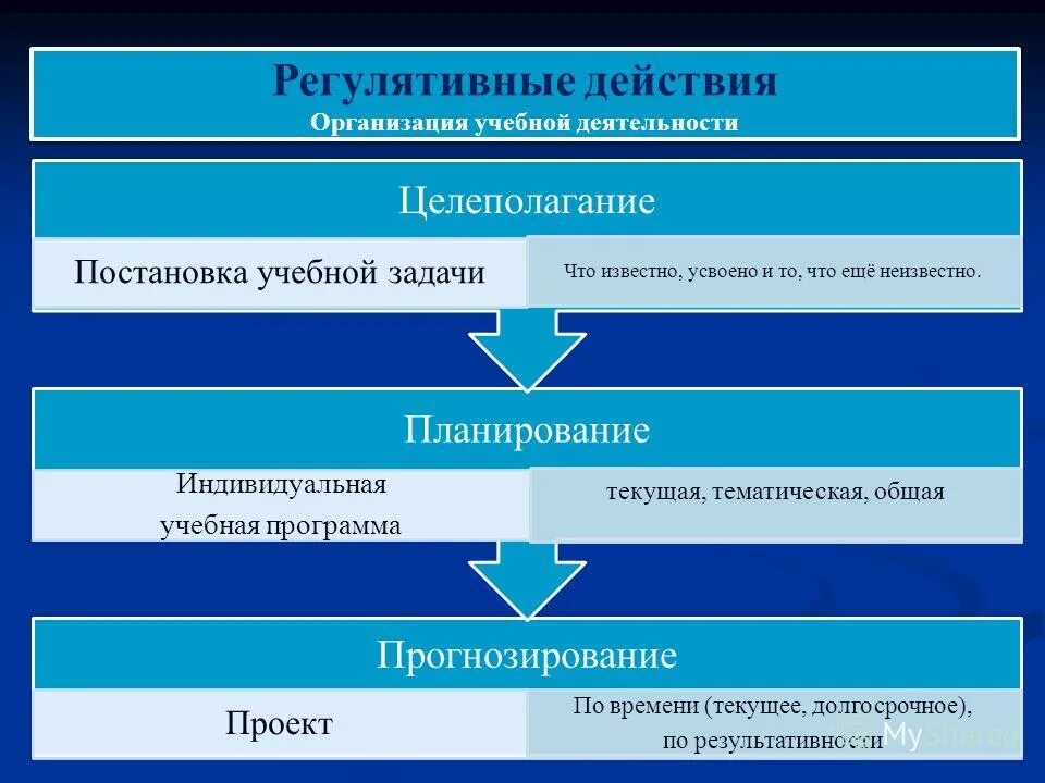 время действия фирмы. действия для компании. сезонные предприятия. типы стратегического конкурентного поведения. время действия фирмы.