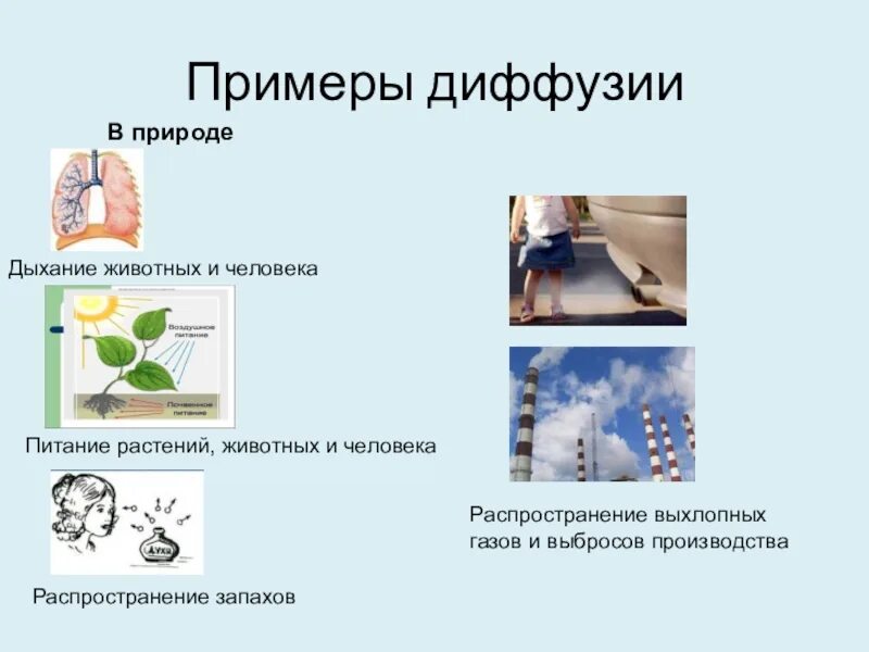 Что такое диффузия проиллюстрируйте свой ответ примером Диффузия Химия