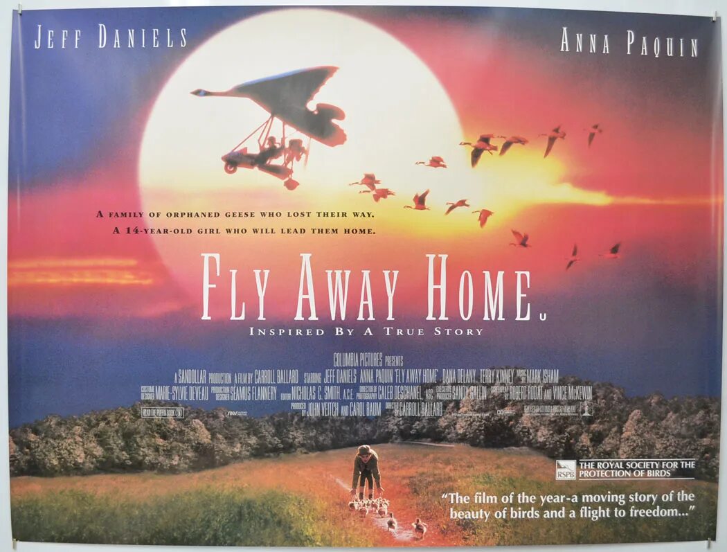 M hustler fly away. Fly away Home. Shamall Fly away 1996.