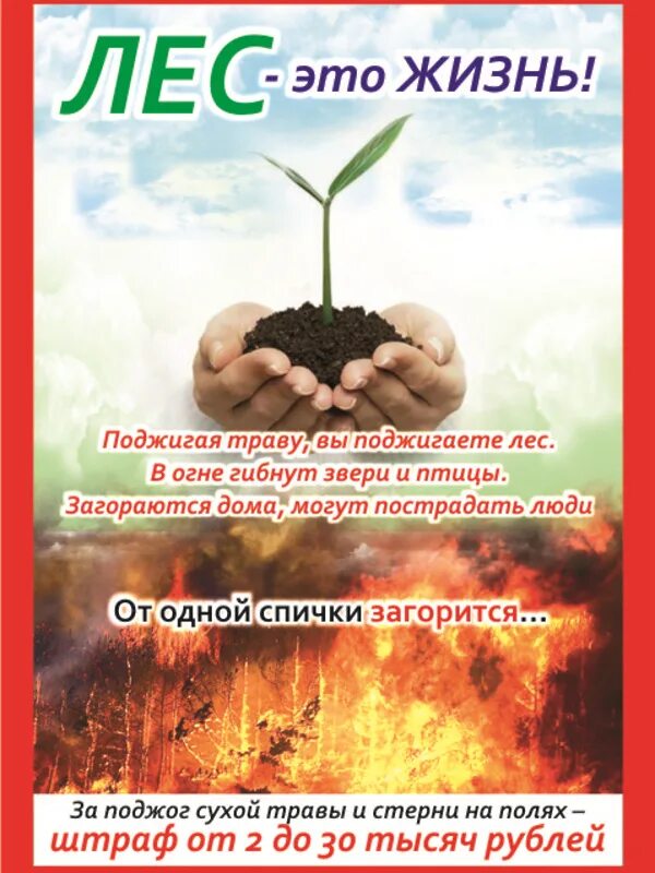 Акции пал пал. Листовка в защиту леса. Памятка берегите лес от пожара. Листовка в защиту леса от пожара. Сохранение лесов от пожаров листовки.