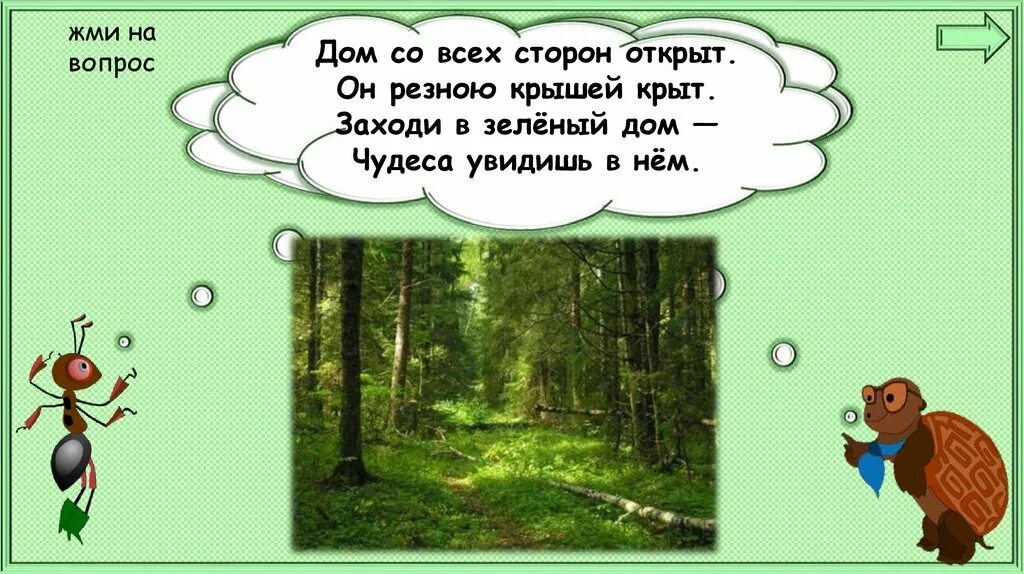 Почему в лесу надо соблюдать тишину. Тишина в лесу 1 класс. Картинки для презентации окружающий мир лес. Тишина в лесу окружающий мир 1 класс. Подъезжая к лесу увидел он