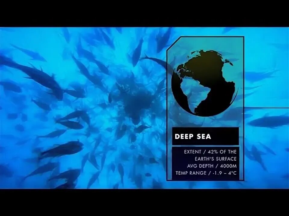 The deep sea. Морской дракон идиакант. The deep sea на русском. 1 the deep sea. Deep sea green.