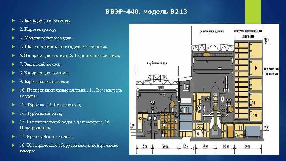 Реактор ВВЭР 1200. Реактор ВВЭР 1200 парогенератор. Реактор ВВЭР 440. Реактор ВВЭР-1200 чертеж. Срок службы энергоблоков лаэс ввэр 1200