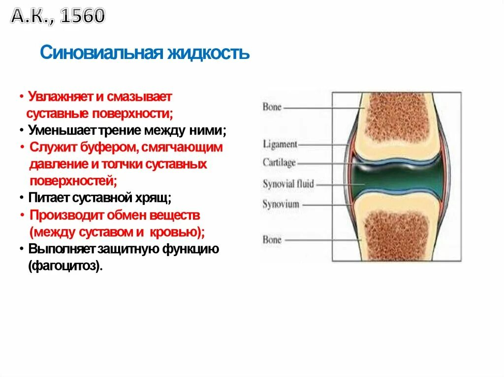 В правое колено долили слой