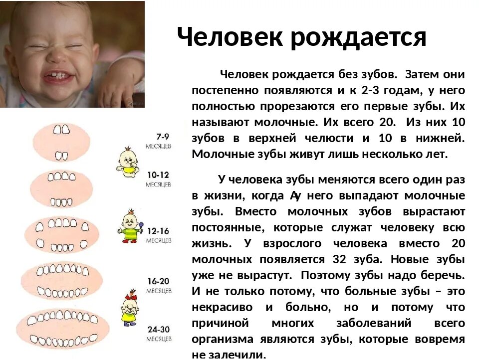 Человек рождается без зубов первые зубы появляются. Молочные зубы у грудничков. Когда появляются первые зубки у малышей. Когда у детей появляются зубы у новорожденных. Режутся зубы у ребенка во сколько месяцев