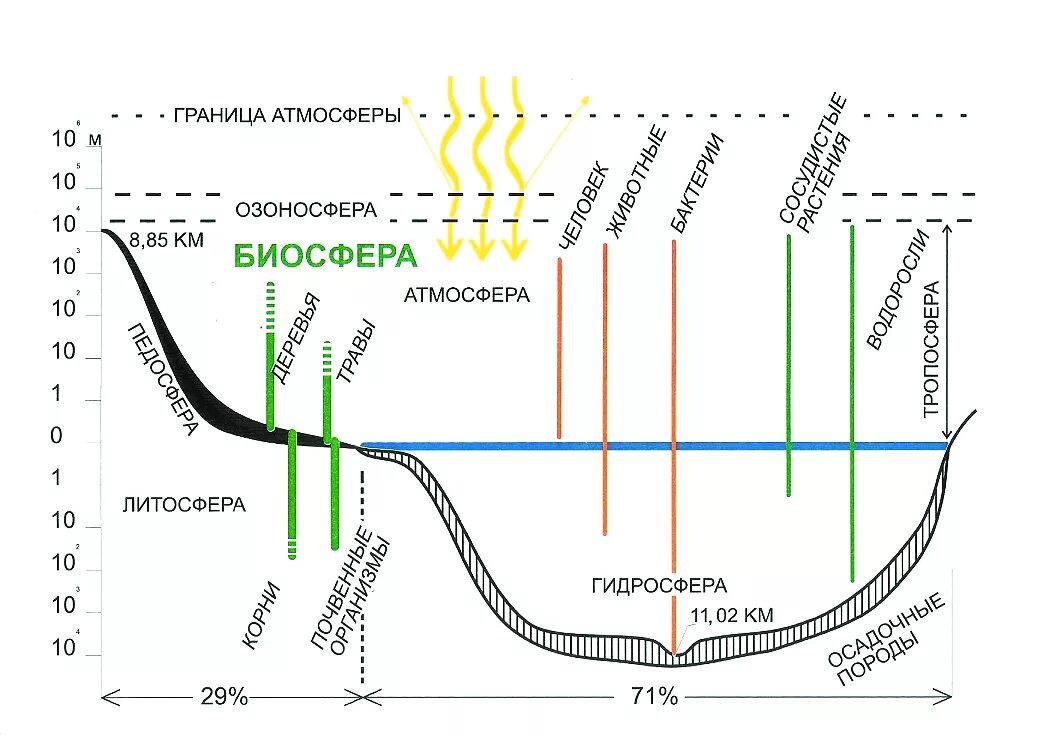 Жизнь в атмосфере ограничено. Границы жизни в биосфере. Части биосферы на схеме. Границы биосферы схема. Границы распространения жизни в биосфере.
