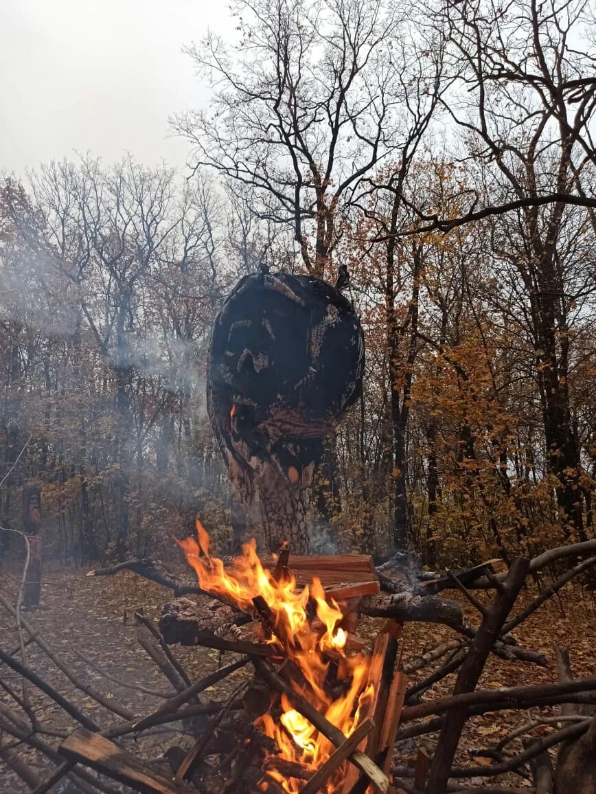 Сжигание дерева. Сожженное дерево. Сгоревшее дерево. Сожжение дерева. Уничтожение.