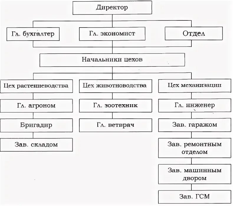 Схема организационной структуры с/х предприятия. Организационная структура с/х предприятия. Организационная структура Агрофирмы схема. Организационная структура СХ предприятия схема.