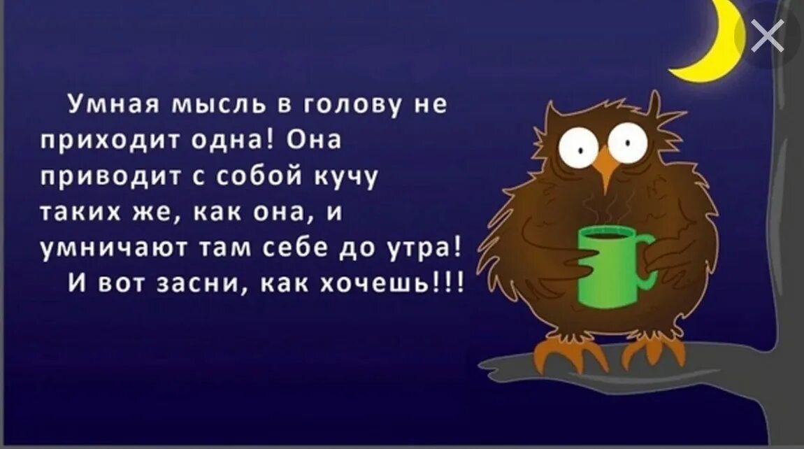 Спокойно приводить. Умные мысли в голове. Мудрые мысли перед сном. Умные мысли на ночь юмор. Смешные высказывания про ночь.