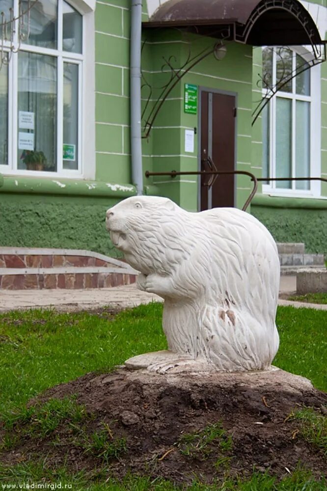 Городские бобры. Памятник бобру во Владимире. Бобров памятник фигура. Бобруйск бобер памятник.