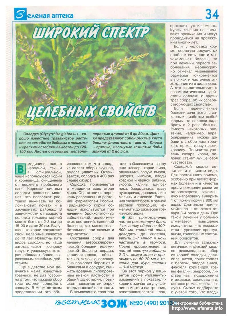 рецепты из газеты зож. вестник зож народные рецепты. зож народные рецепты лечения. рецепты из газеты зож лечение.