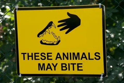 Might bite