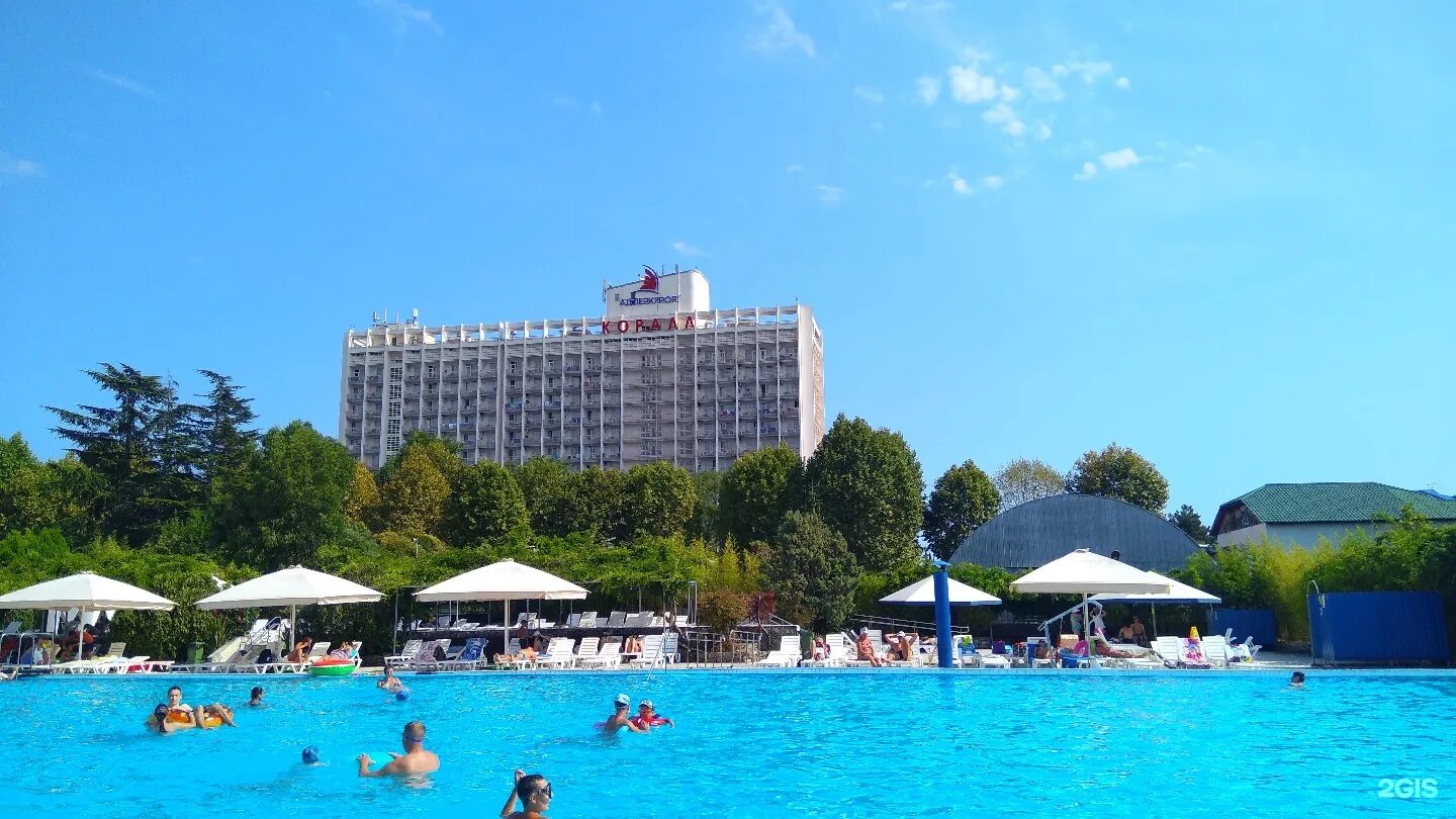 Адлеркурорт адрес. Коралл пансионат адлеркурорт. коралл пансионат адлеркурорт 2. сочи коралл пансионат адлеркурорт. адлеркурорт санаторий дельфин.