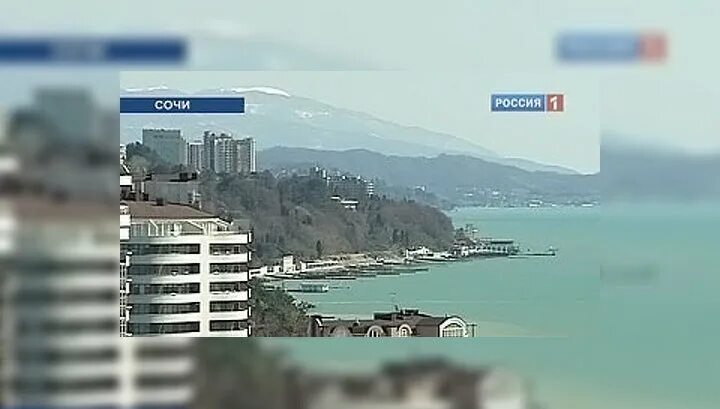 Вокзал олимпийский парк сочи пальмы. Имеретинский курорт олимпийский парк адлер. Ложа автодрома в сочи. Планета сочи туроператор. Сочи готов.