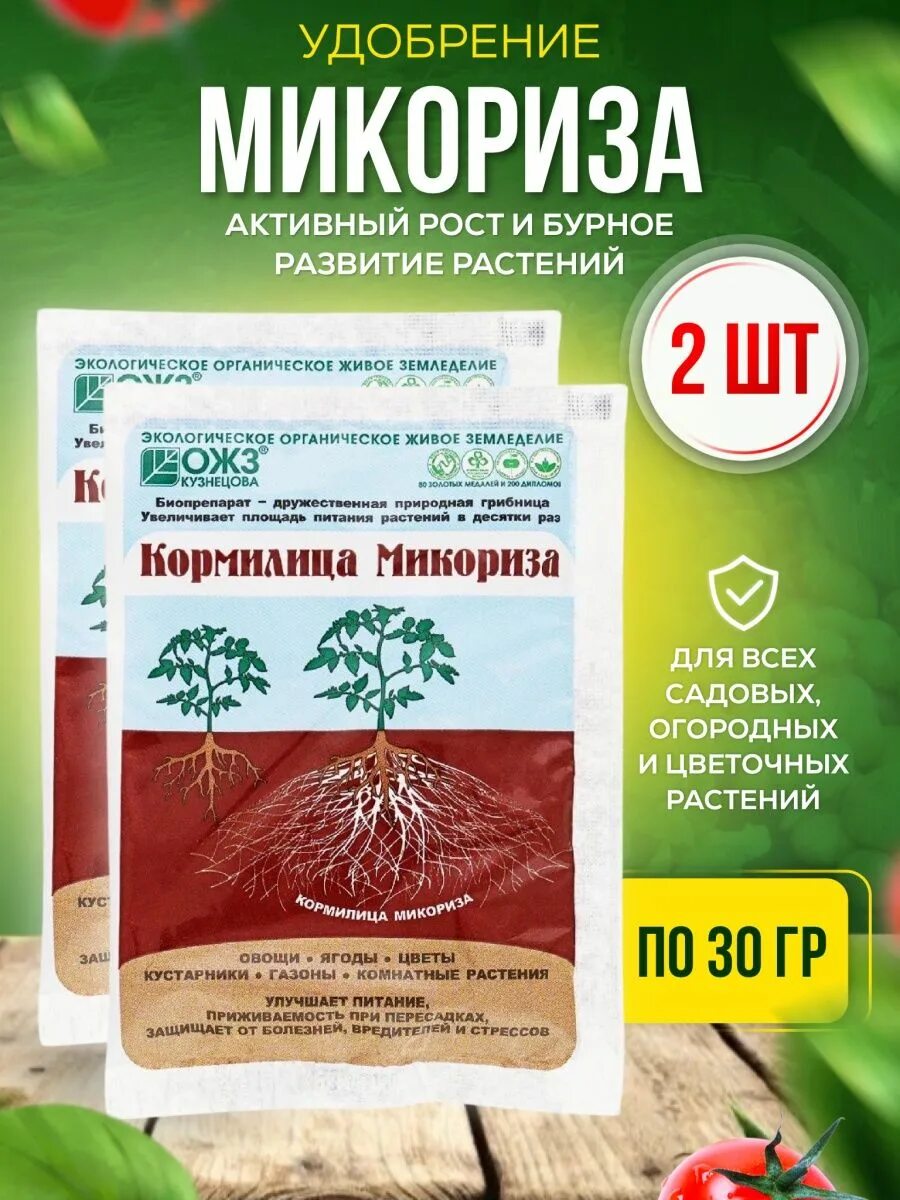 Микориза БАШИНКОМ. Кормилица микориза. Кормилица микориза сайт производителя. Микориза удобрение. Микориза купить в москве