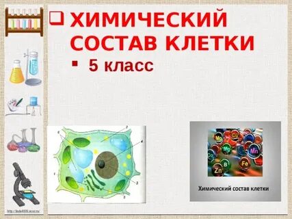 Особый химический состав кратко