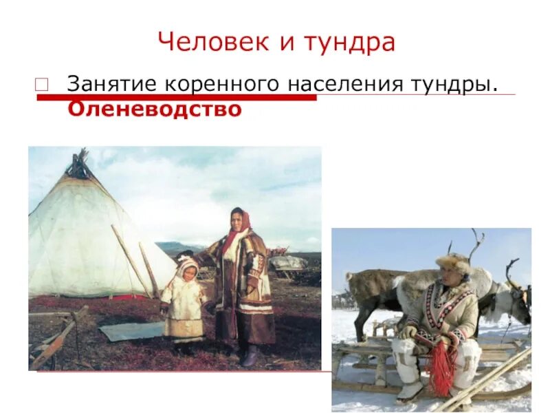 Выберите признаки тундры. Занятия населения тундры. Занятия коренных жителей тундры. Традиционное занятие жителей тундры. Жители тундры и их занятия.