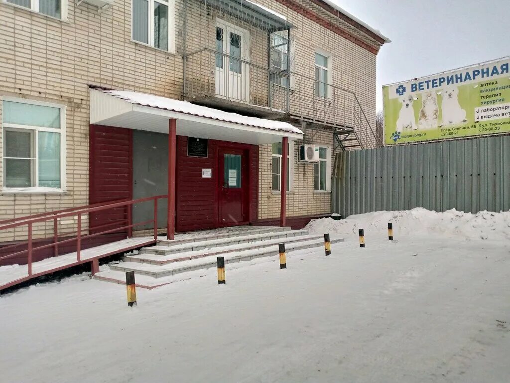 ветклиника степной. добровет обнинск ветклиника. ветклиника степной. поликлиника на степной хабаровск. айболит детская клиника волгоград.
