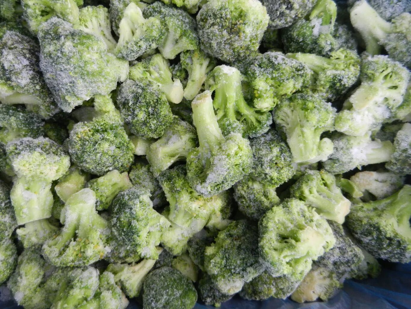 цветная капуста замороженная cauliflower. капуста цветная быстрозамороженная, 10кг. цветная капуста заморозка. капуста цветная замороженная 1кг. мороженая капуста.