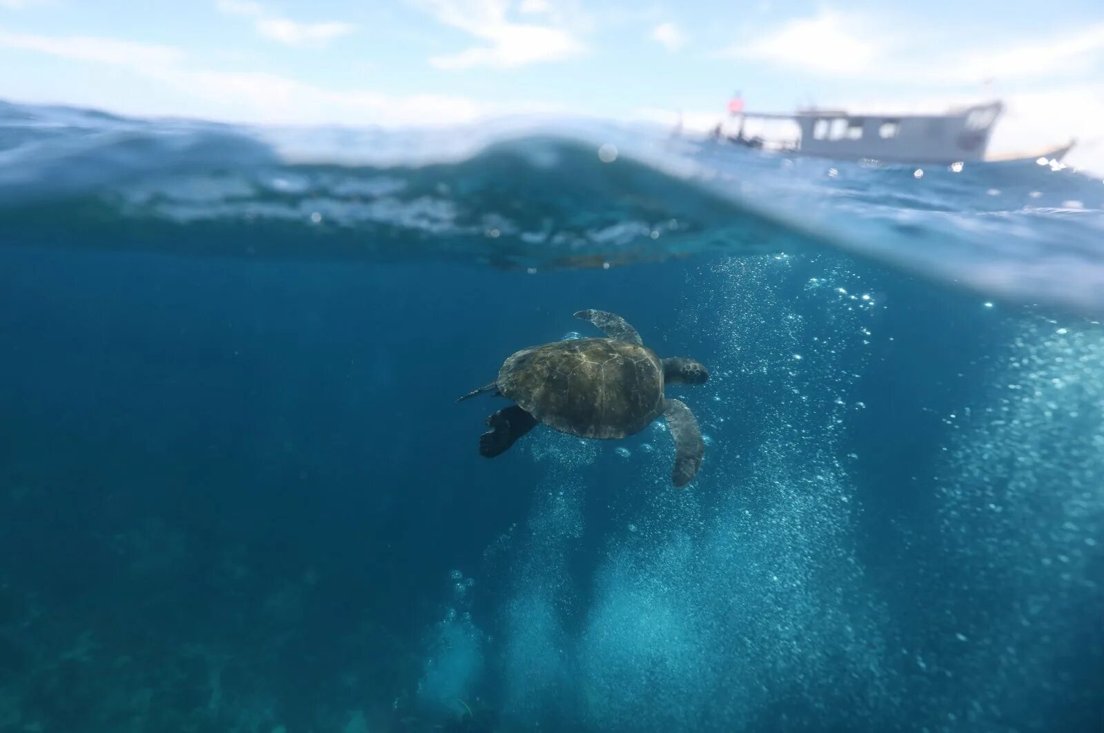 Океан становится теплее. Йода мировой океан. Океан. Море, волны. Океан.
