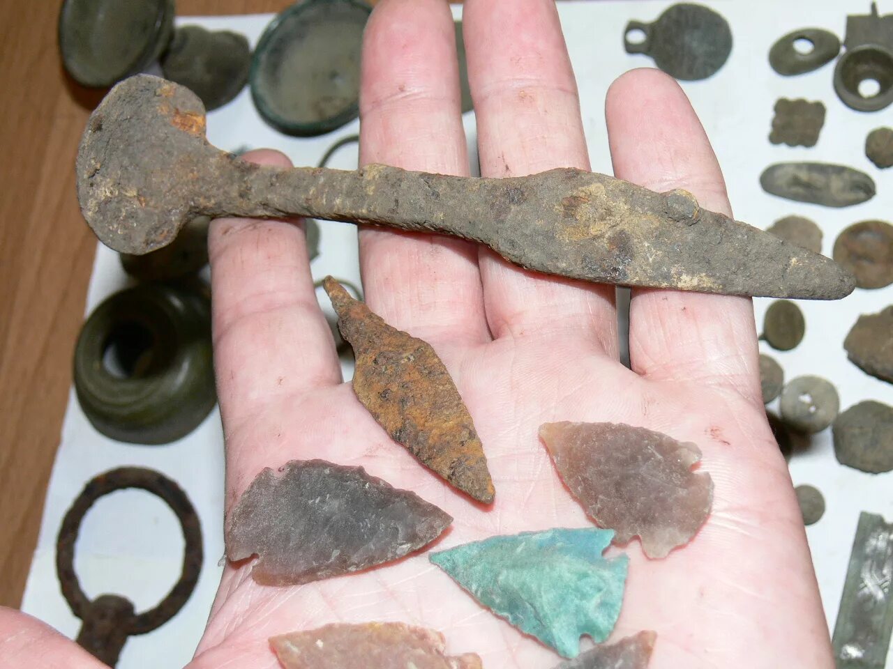 без находки. коп монет в лесу. монеты найденные в севастополе. металлические находки. без находки.