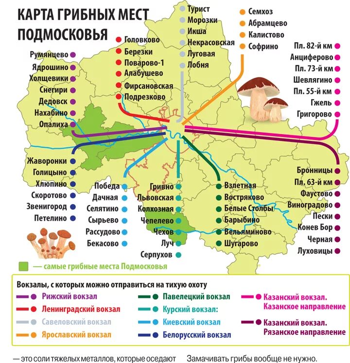 Сколько в подмосковье сегодня. Карта места грибника Подмосковья. Грибные места в Подмосковье 2021 на карте. Карта грибника Московской области 2022. Грибные места Подмосковья на карте.