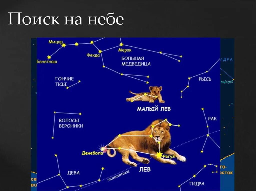 Какие звезды весной. Созвездие Льва на карте звездного неба. Созвездие Лев расположение звезд. Зодиакальное Созвездие Льва схема. Знак зодиака Лев Созвездие.