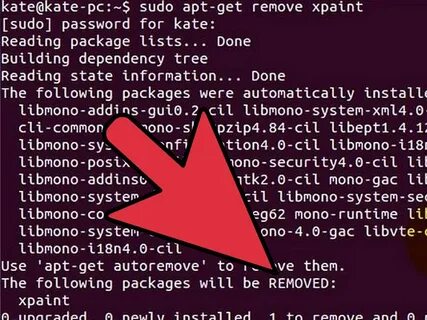 Mono runtime