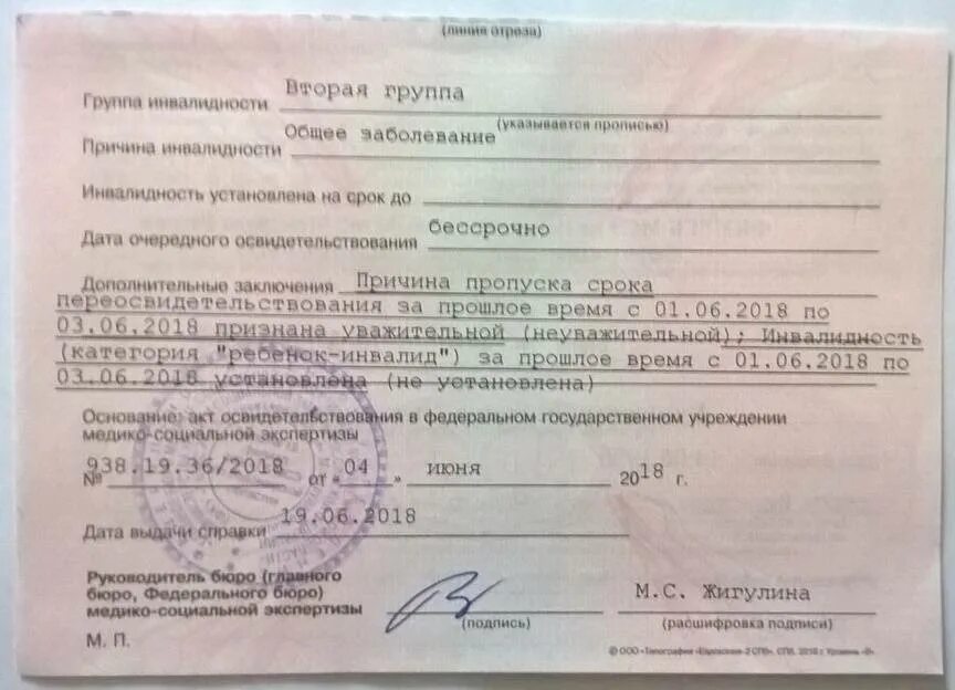 Проживаю с инвалидом 1 группы. Втэк 3 группа инвалидности. Справка медико социальной экспертизы об инвалидности. Справка об инвалидности 1 группы. Справка об инвалидности 2 группы.