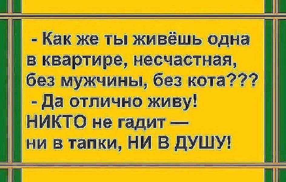 Несчастна без мужчины. Никто не гадит не в душу не в тапки. Никто не гадит ни в тапки. Мужчина без женщины никто. Ни мужа ни кота никто не гадит ни в душу ни в тапки.