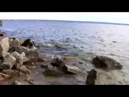Температура в обском водохранилище