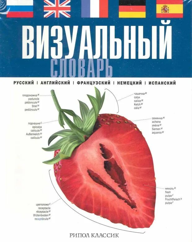 Русско-английский визуальный словарь. Визуальный словарь английского языка. Визуальный словарь Рипол Классик. Англо-русский визуальный словарь.