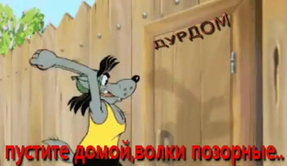 А вот и я приехал